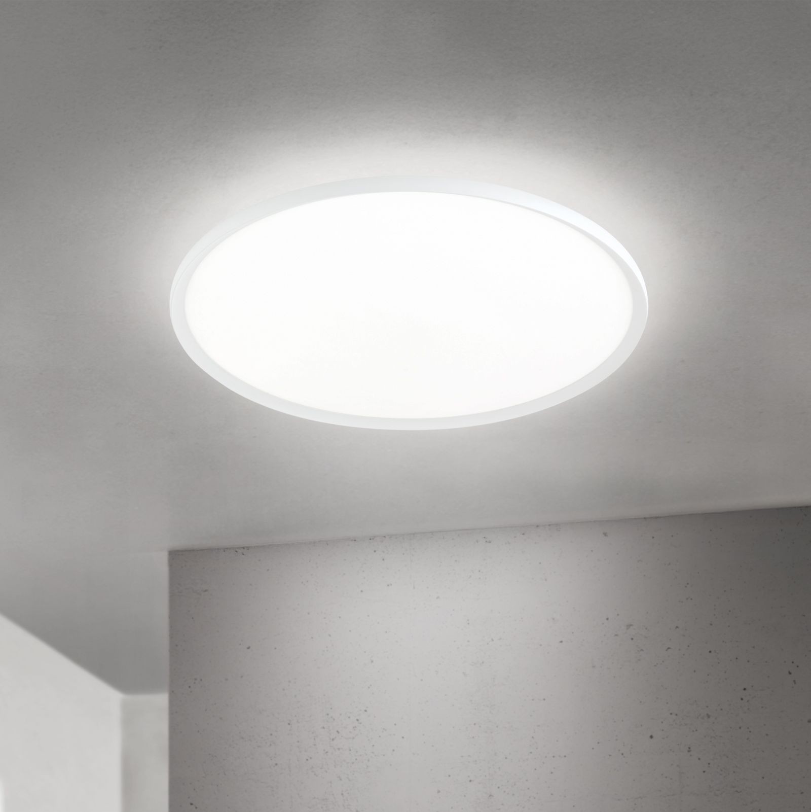 LED ceiling light KANT, Ø 80cm, white