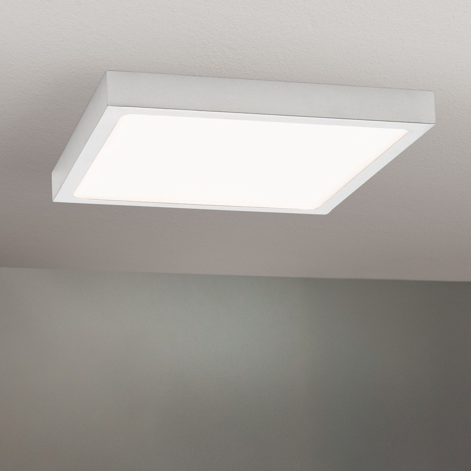 LED stropní svítidlo LERO, čtvercové, matné zlato, 23cm